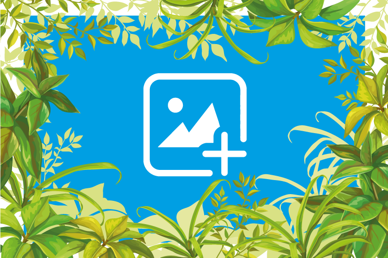 Kissa vihreässä kasvillisuudessa eläin vinyylimatto - Tenstickers