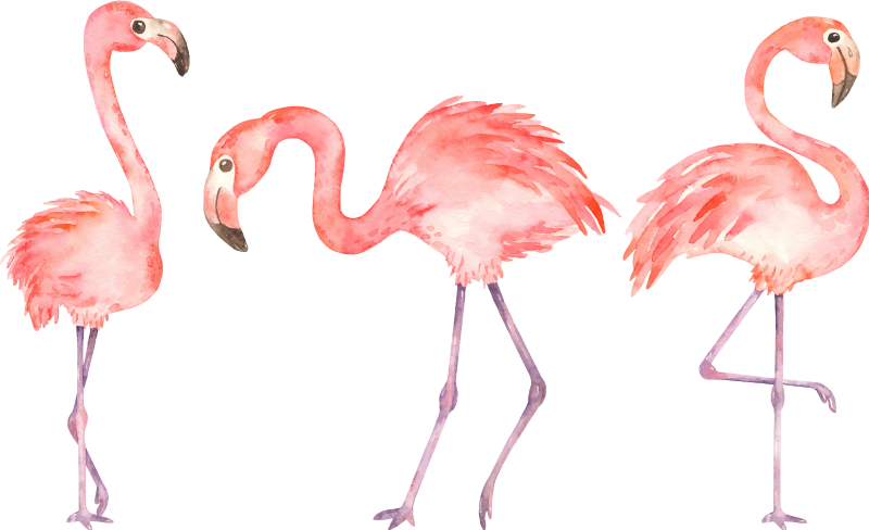Elegant flamingo kolmikko eläin vinyylimatto - Tenstickers