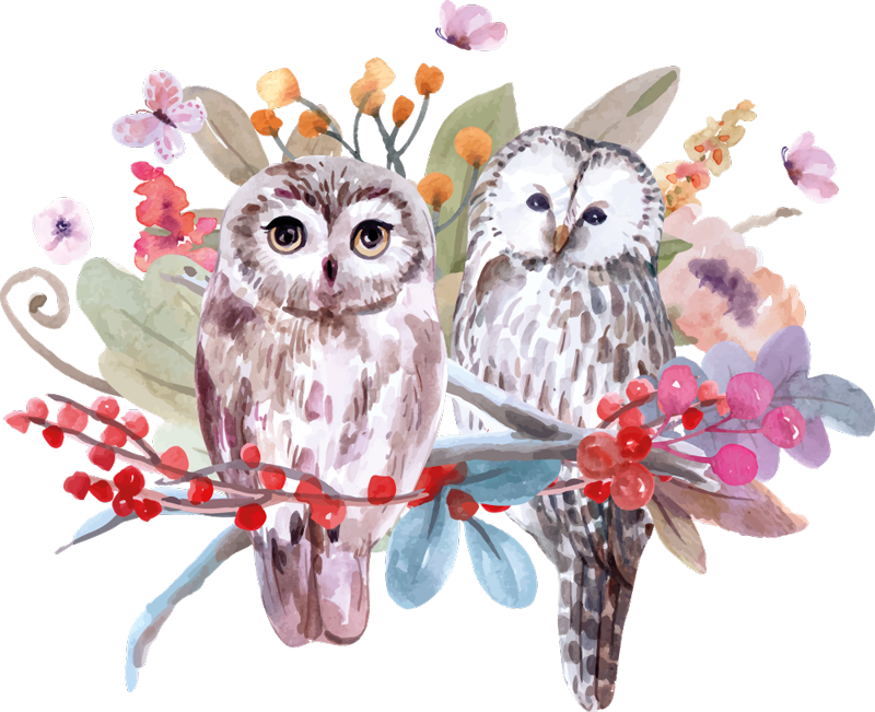 Pöllöt luonnossa eläin vinyylimatto - Tenstickers