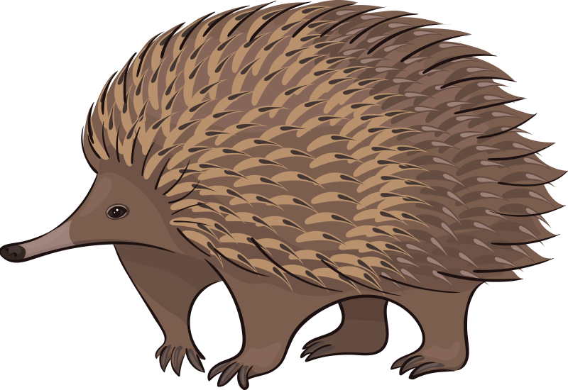 Ystävällinen siili vinyylimatto - Tenstickers