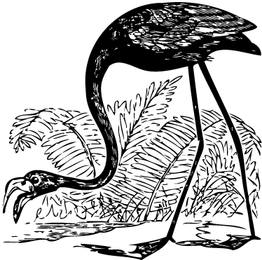 Flamingo ja saniaiset eläin vinyylimatto - Tenstickers