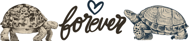 Kilpikonnat ikuinen rakkaus vinyylimatto - Tenstickers