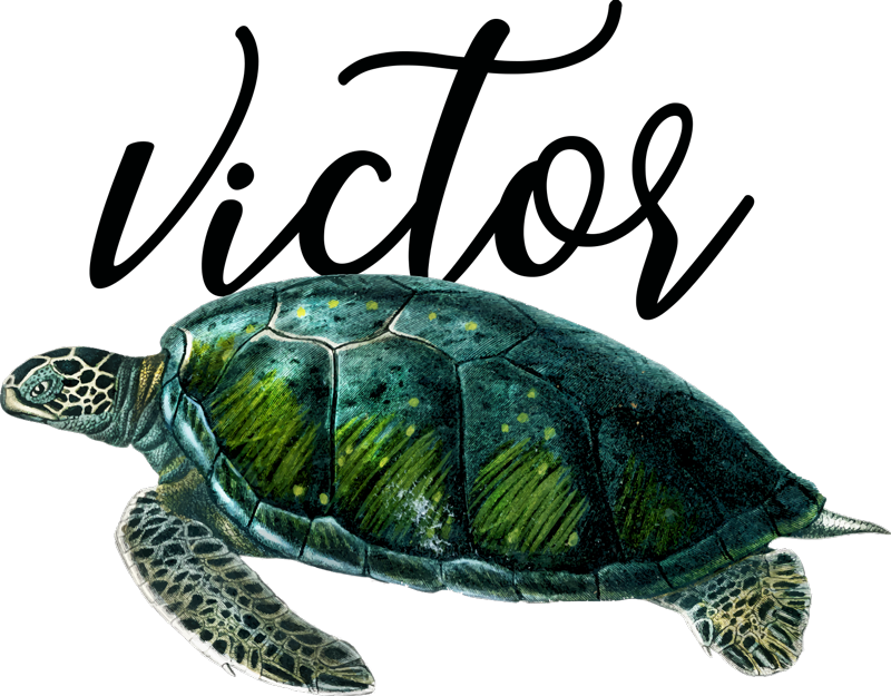 Muokattava kilpikonnakuosi eläin vinyylimatto - Tenstickers