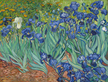 Van goghin kukat vinyylimatto - Tenstickers