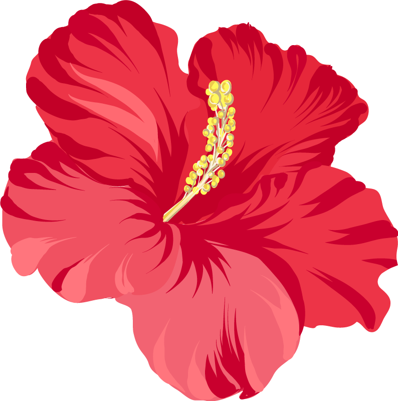 Punainen hibiskuskukka vinyylimatto - Tenstickers