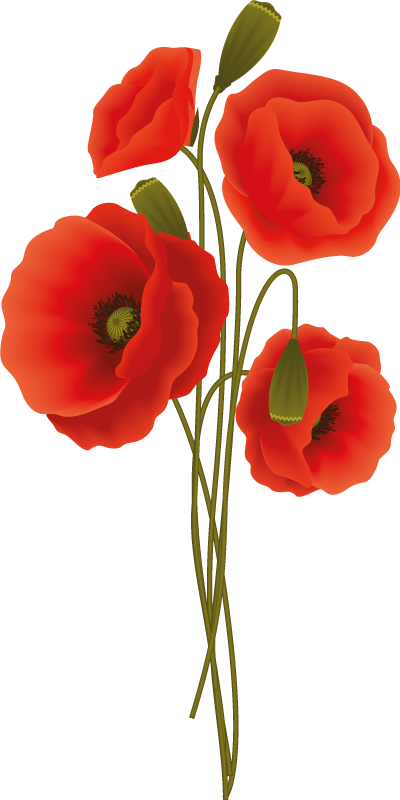 Herkät unikot kylpyhuoneen vinyylimatto - Tenstickers