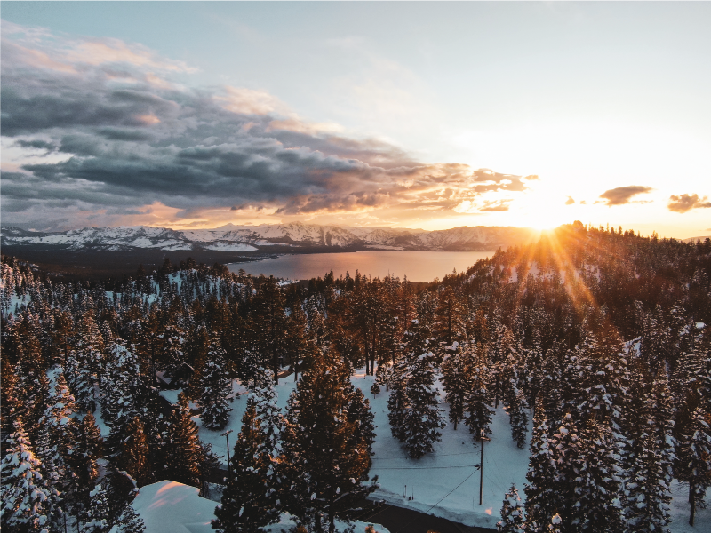 Vihreä metsämaisema luonto vinyylimatto - Tenstickers
