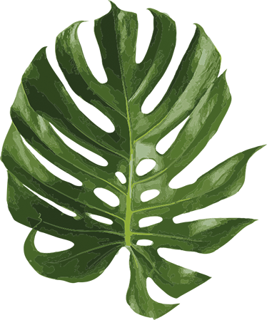 Herkkä monstera-lehti vinyylimatto - Tenstickers