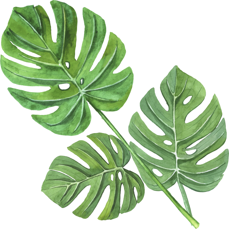 Monstera akvarellilehdet kukka vinyylimatto - Tenstickers