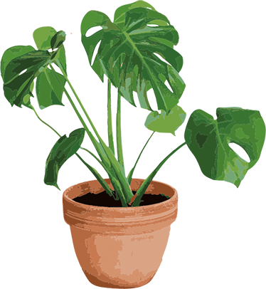 Kukka vinyylimatto yksinkertainen monstera ruukku - Tenstickers