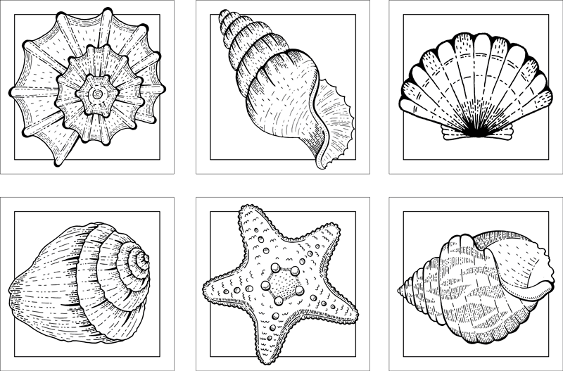 Merielämä ja simpukat kylpyhuoneen vinyylimatto - Tenstickers