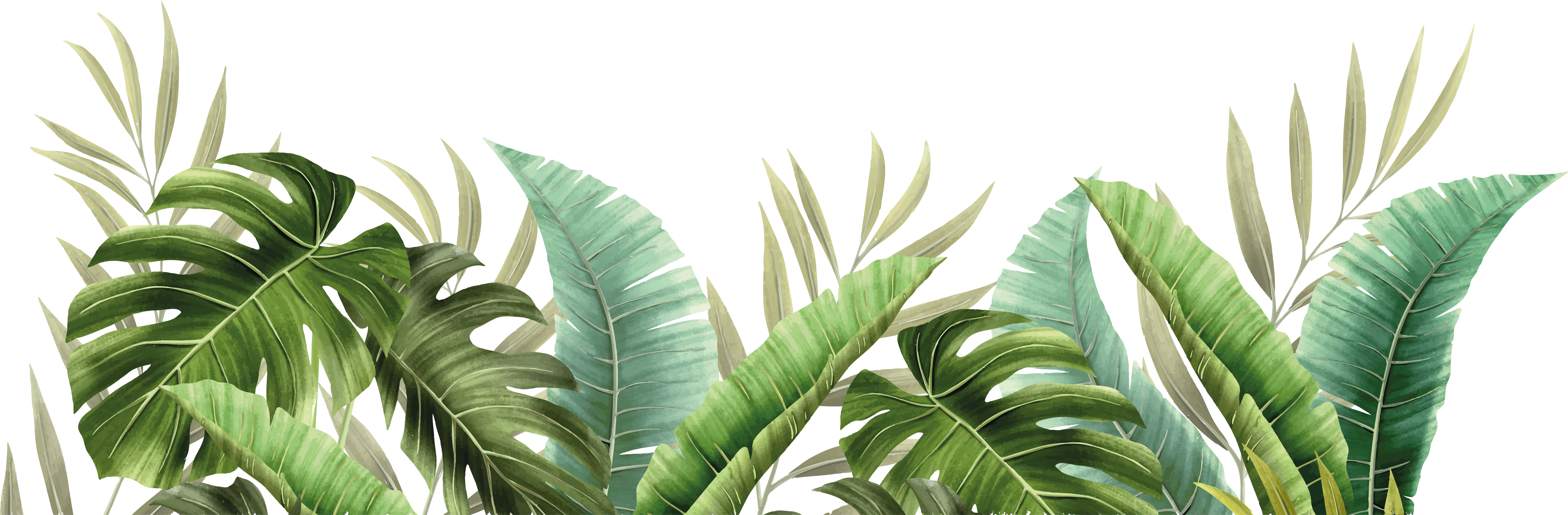 Tropiikin kasvit kylpyhuoneen vinyylimatto - Tenstickers