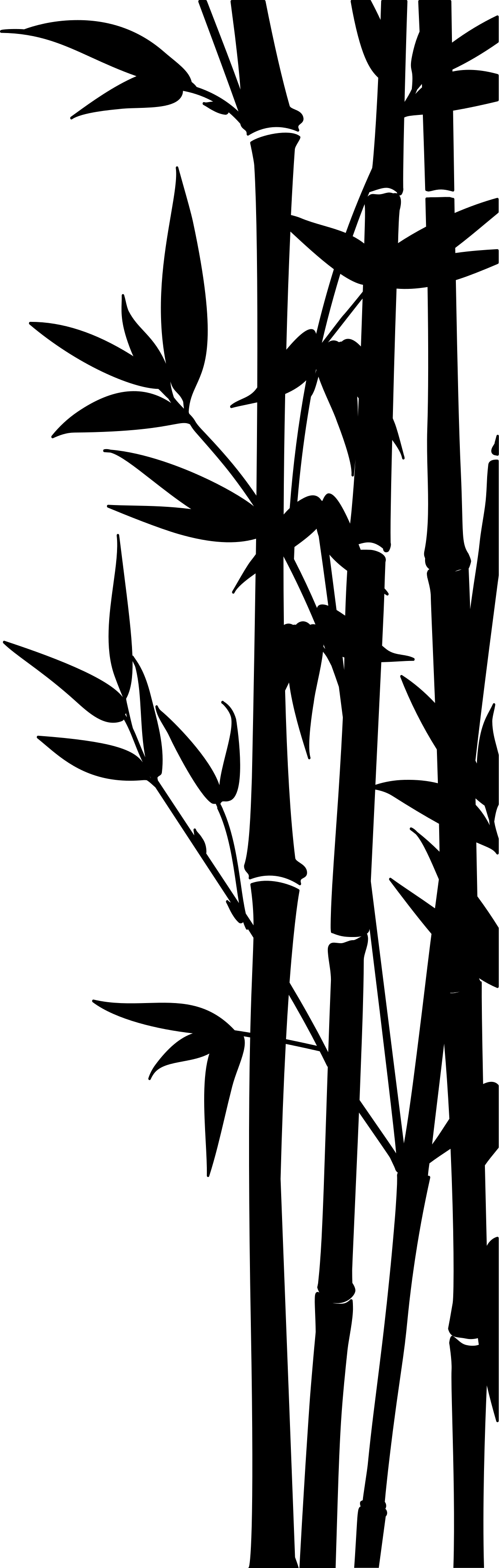 Kylpyhuoneen vinyylimatto bambu suihkuseinäkoriste - Tenstickers