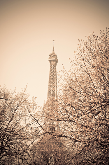 Vinyylimatto makuuhuoneeseen eiffel-torni puut - Tenstickers
