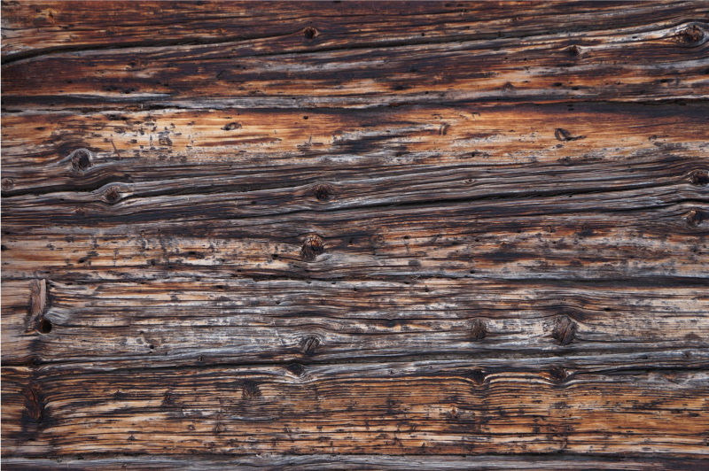 Vintage puuta puu aiheinen vinyylimatto - Tenstickers