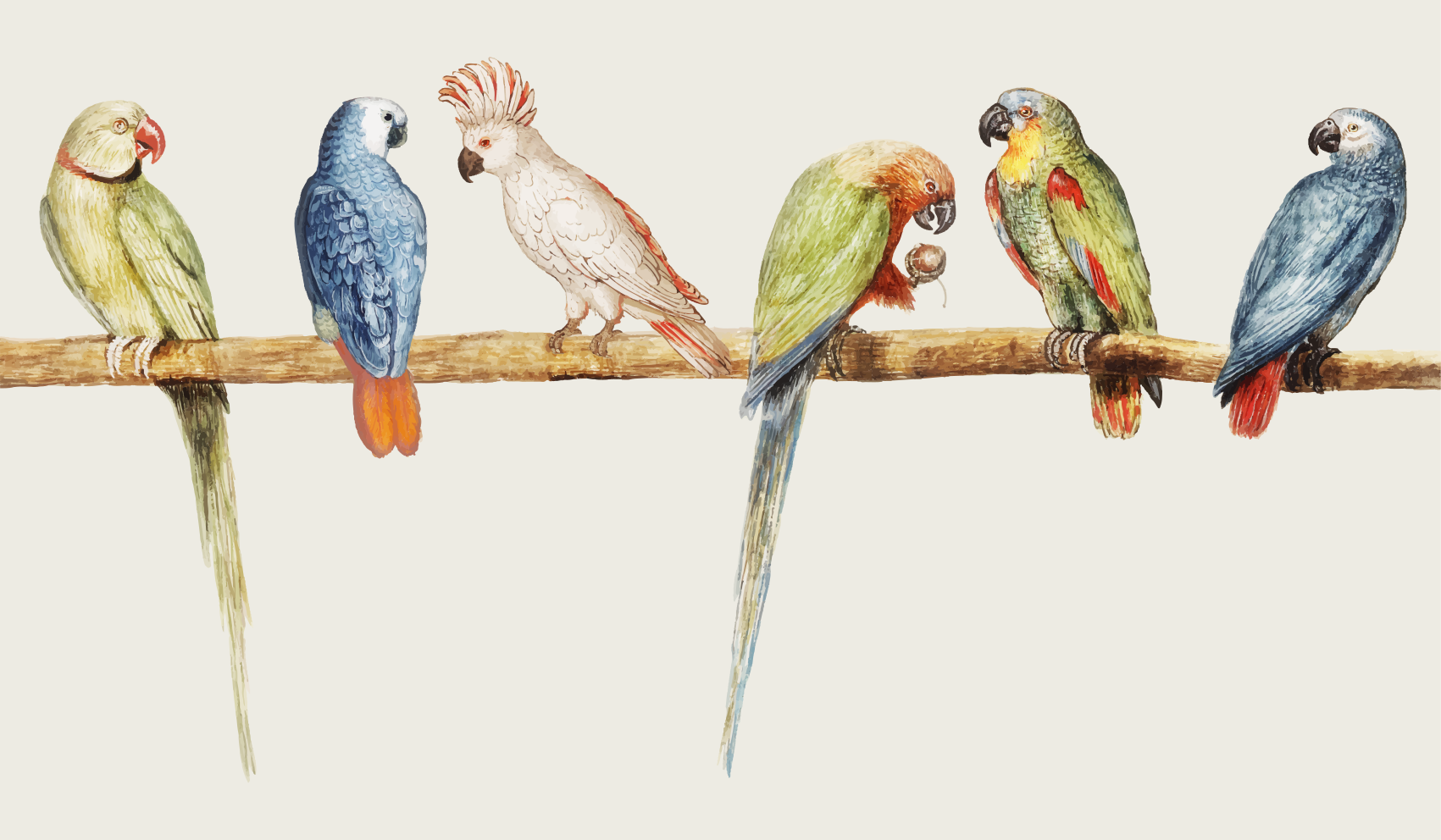 Moderni harmaa linnuilla ja oksilla kukka vinyylimatto - Tenstickers