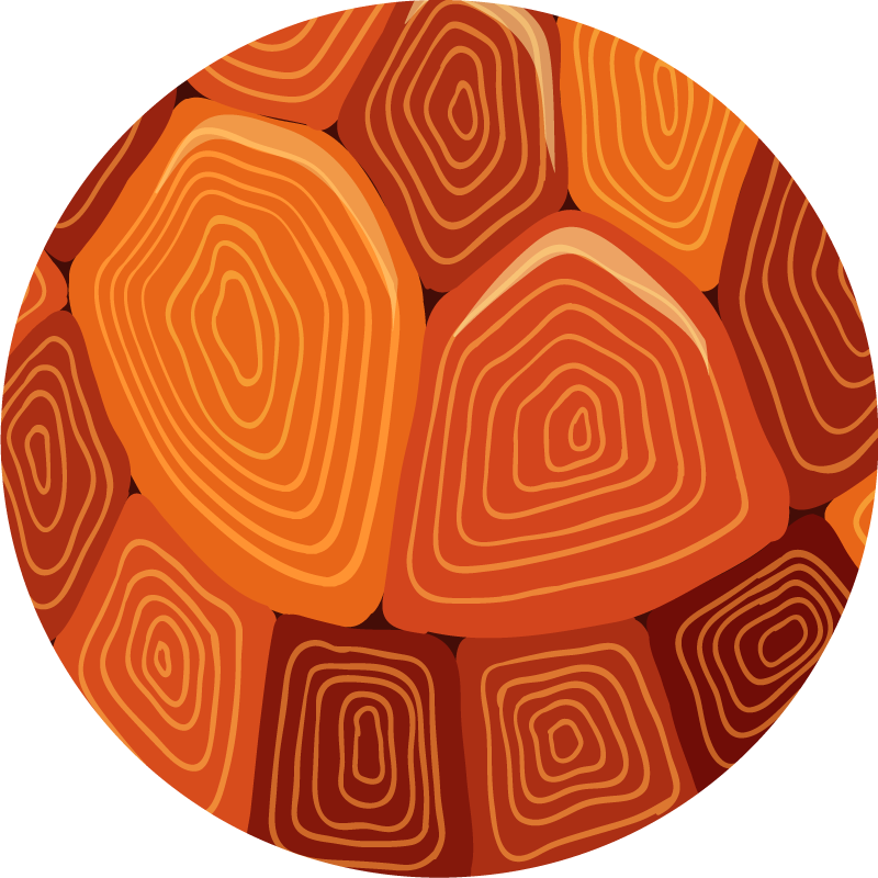 Kilpikonna talo tulosta vinyylimatto eläinpainatus - Tenstickers