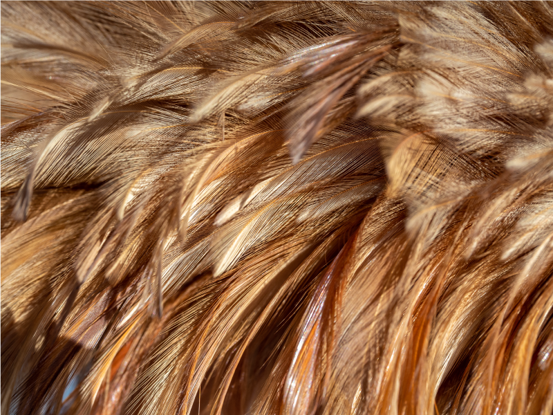 Pyörivä turkki vinyylimatto eläinpainatus - Tenstickers