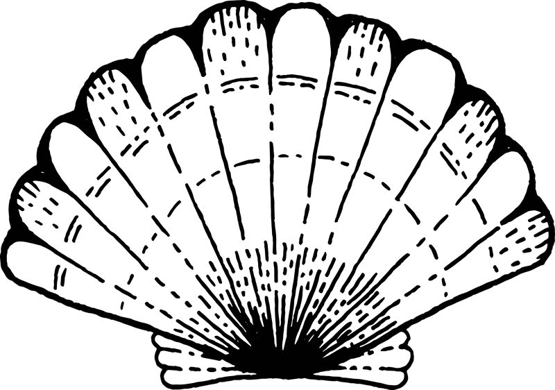 Kuorikuvioinen aksentti luonto vinyylimatto - Tenstickers