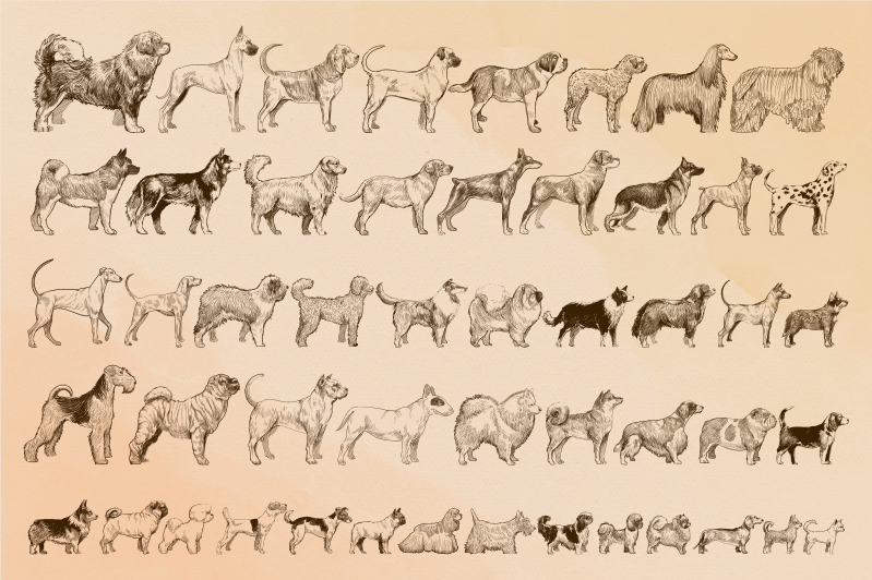 Koiran koot eläin vinyylimatto - Tenstickers