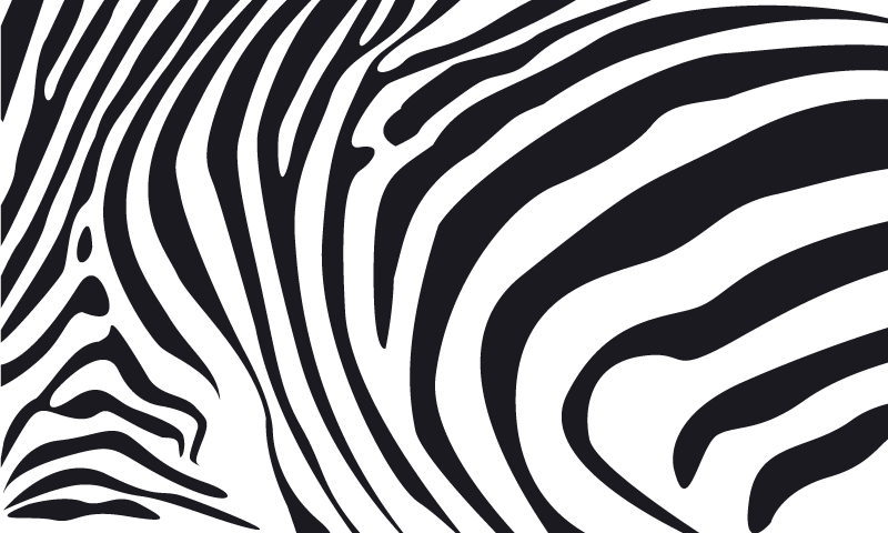Zebra raidat eläin vinyylimatto - Tenstickers
