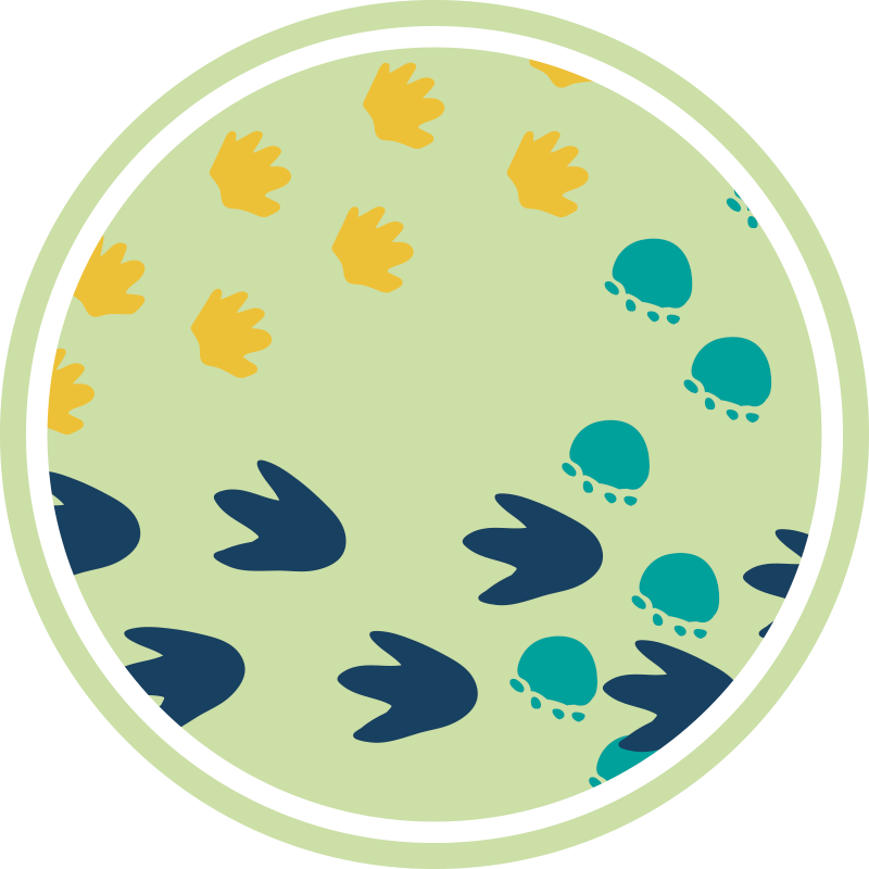 Dinosaurusten jalanjälkien suunnittelu vinyylimatto - Tenstickers