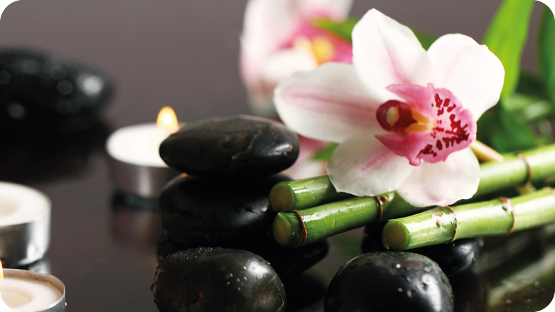 Orkidea tyyneys luonto vinyylimatto - Tenstickers