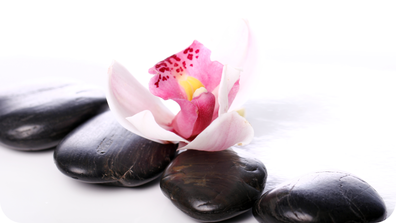 Elegantti kukkainen tyyneys luonto vinyylimatto - Tenstickers