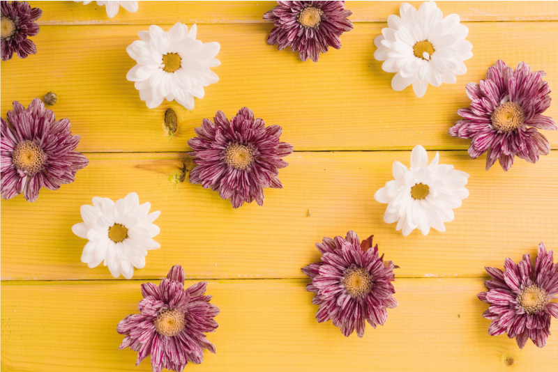 Vaaleanpunaiset ja valkoiset terälehdet vinyylimatto - Tenstickers