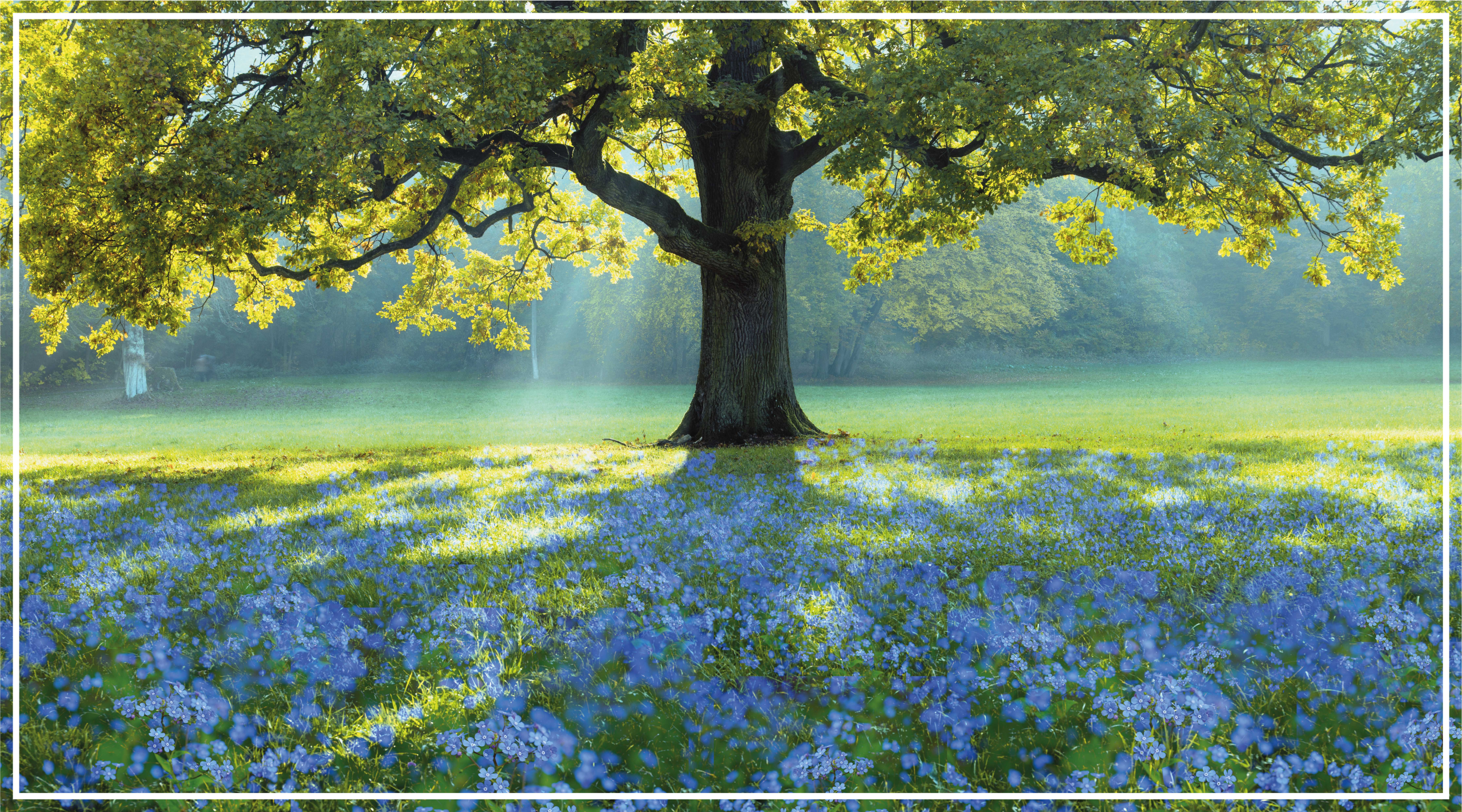 Kukkivan puun kohtaus luonto vinyylimatto - Tenstickers