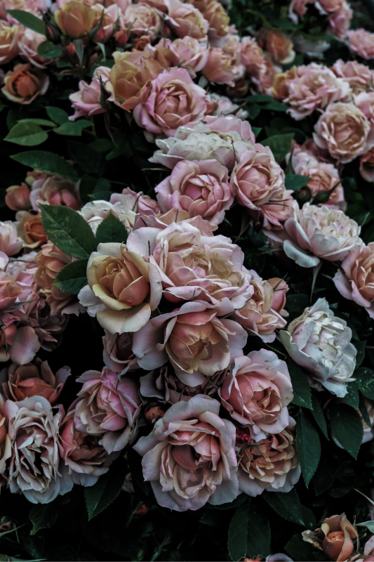 Elegantti kukka-asetelma kukat ja kasvit vinyylimatto - Tenstickers