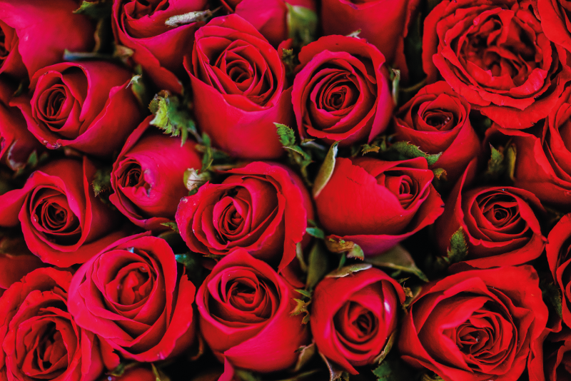 Ruusukimppu kukka vinyylimatto - Tenstickers