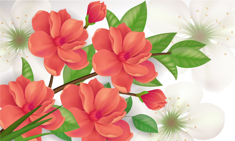 Värikäs kukka-asetelma vinyylimatto - Tenstickers