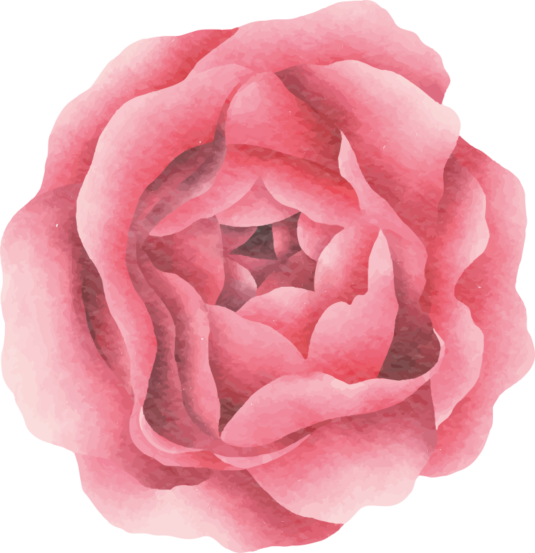 Pinkki ruusu Luonto vinyylimatto - Tenstickers