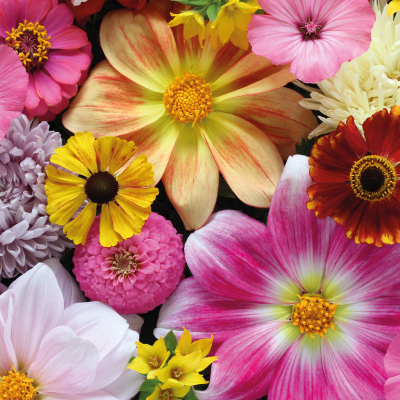 Kaunis realistinen asetelma kukka vinyylimatto - Tenstickers