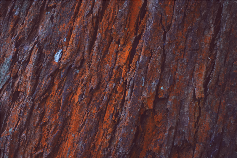 Maalaismainen kuori puu vinyylimatto - Tenstickers