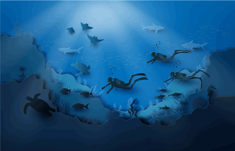 Vedenalainen tutkimusmatka luonto vinyylimatto - Tenstickers