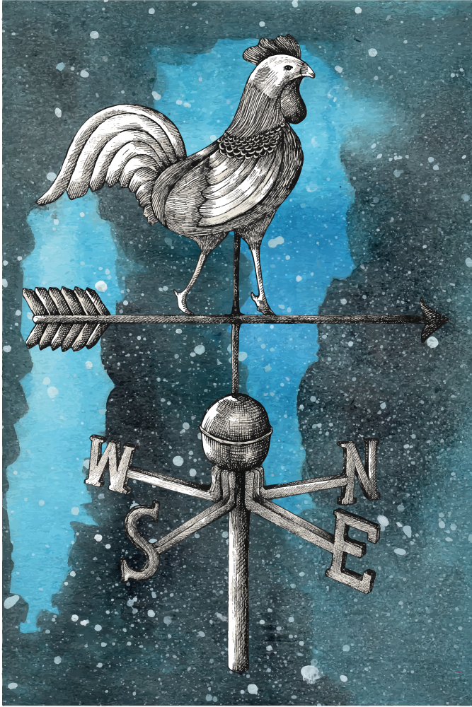 Tuuliviiri tähtitaiteellinen ilta poikasen kanssa eläin vinyylima - Tenstickers