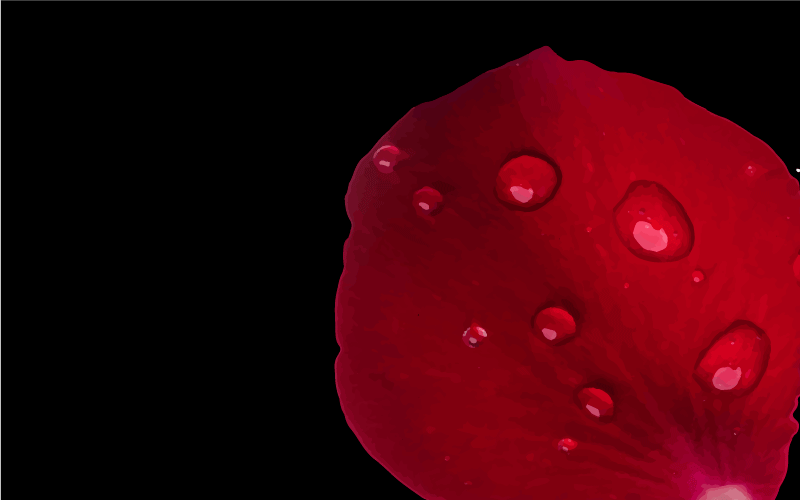 Punaisen terälehden glamour olohuoneen vinyylimatto - Tenstickers