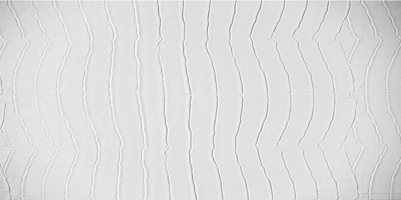 Elegantti krokotiili eläin vinyylimatto - Tenstickers