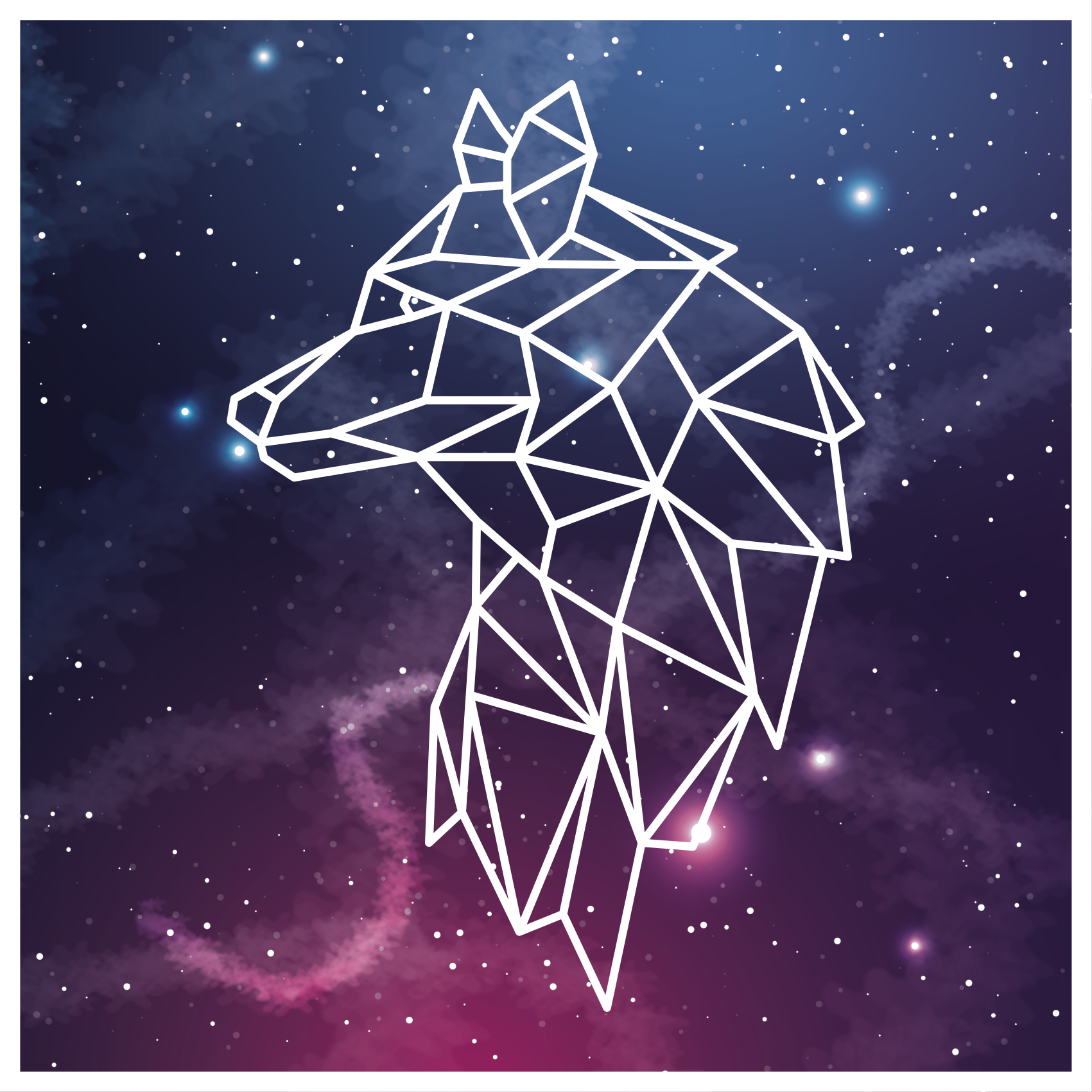 Monivärinen cosmos susi etninen vinyylimatto - Tenstickers