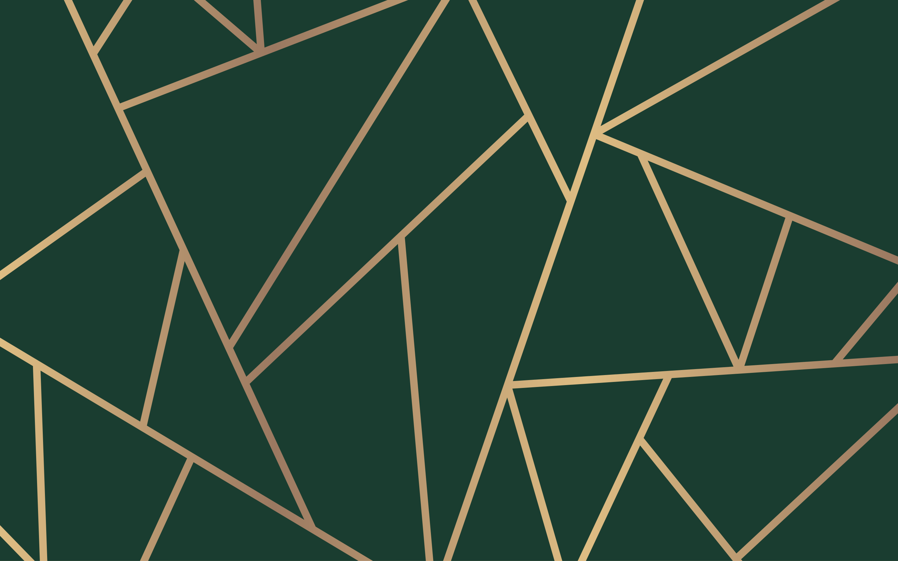 Vihreät tyylikkäät linjat geometrinen vinyylimatto - Tenstickers