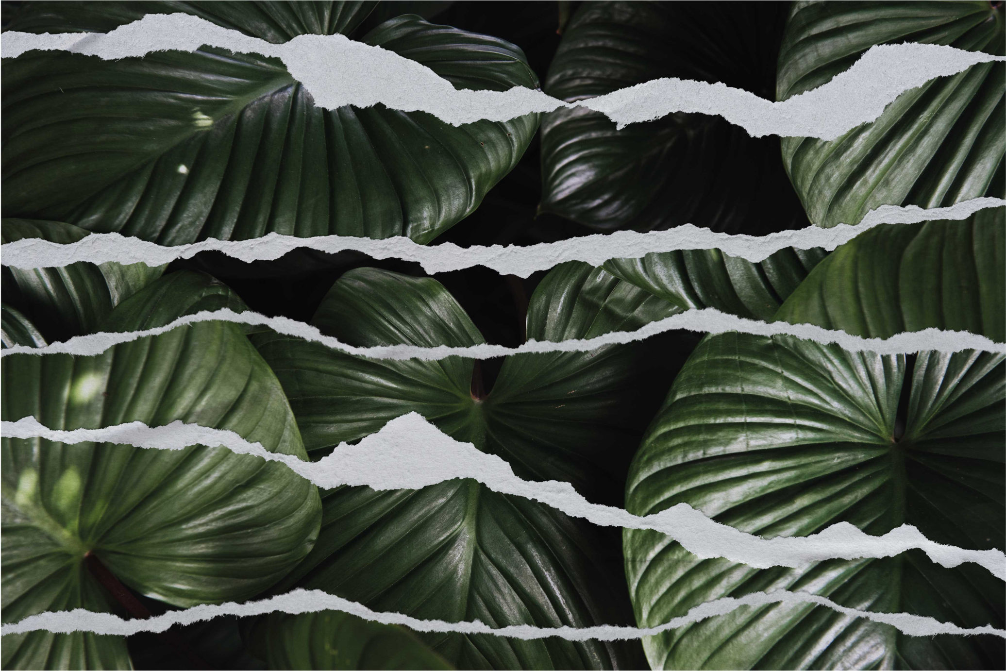 Revitty lehtikuvio luonto vinyylimatto - Tenstickers