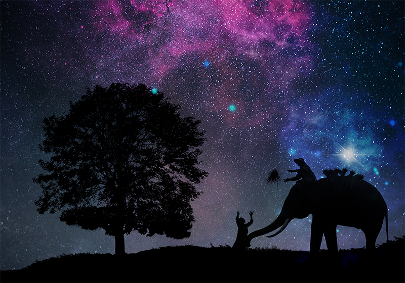 Kosminen norsuseikkailu eläin vinyylimatto - Tenstickers