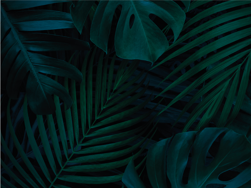 Trooppinen lehdet kukka vinyylimatto - Tenstickers