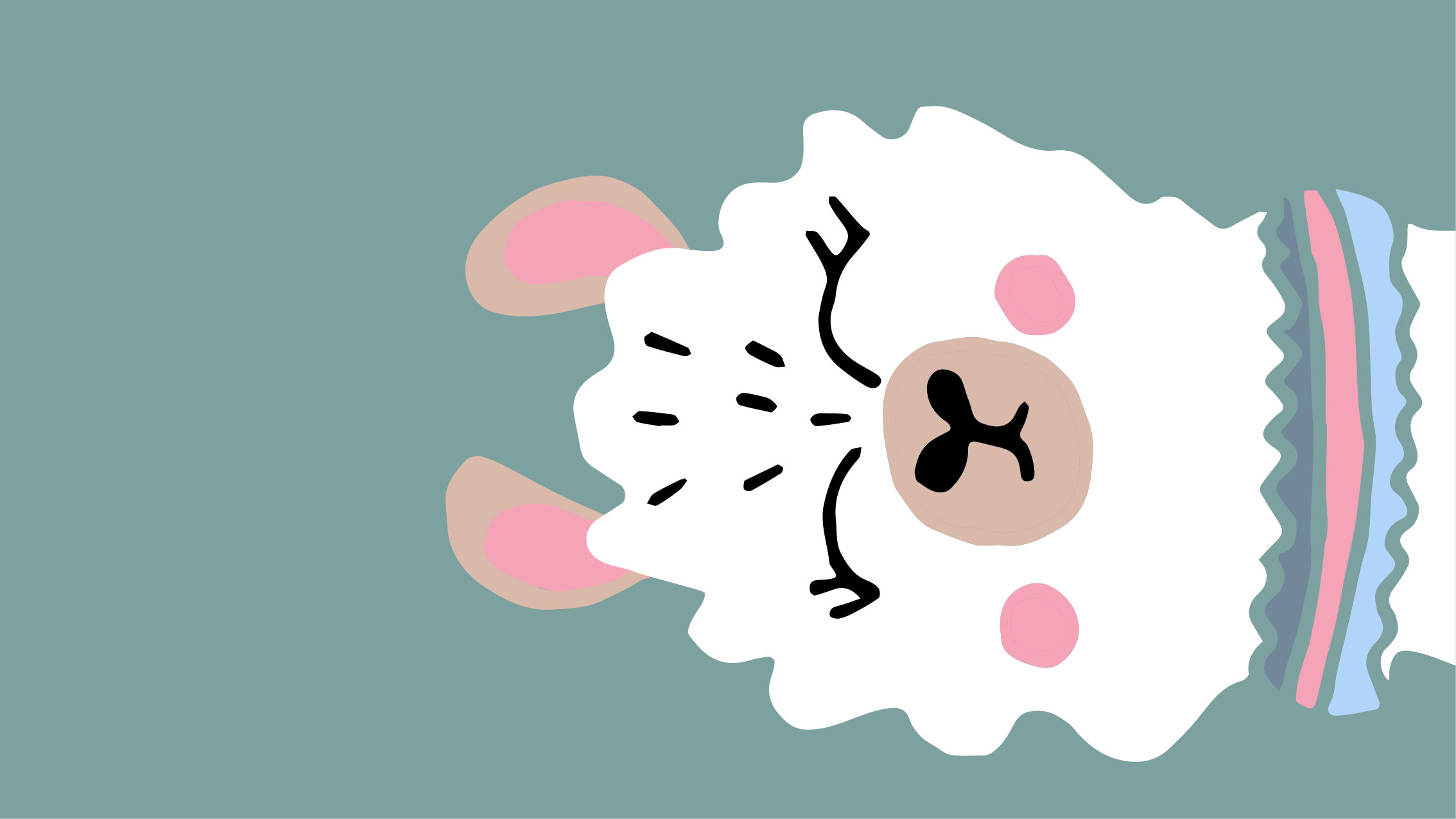 Lampaan kuva vauvan huoneen vinyylimatto - Tenstickers