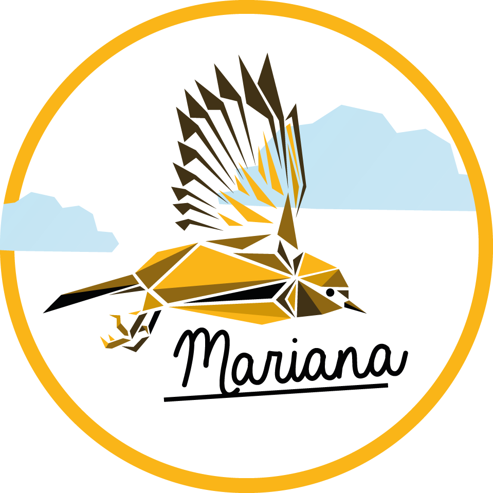 Henkilökohtainen lintu nimi vinyylimatto - Tenstickers