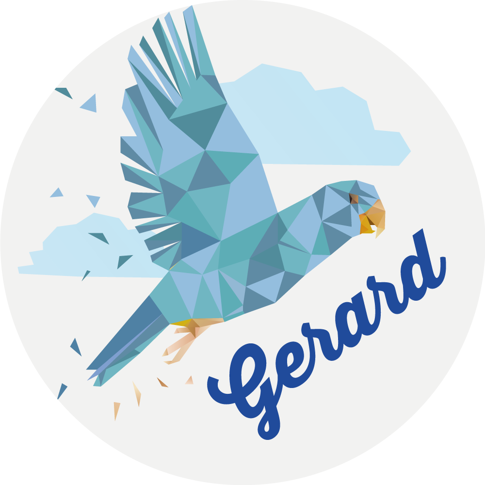 Räätälöity geometrinen kotka nimi vinyylimatto - Tenstickers