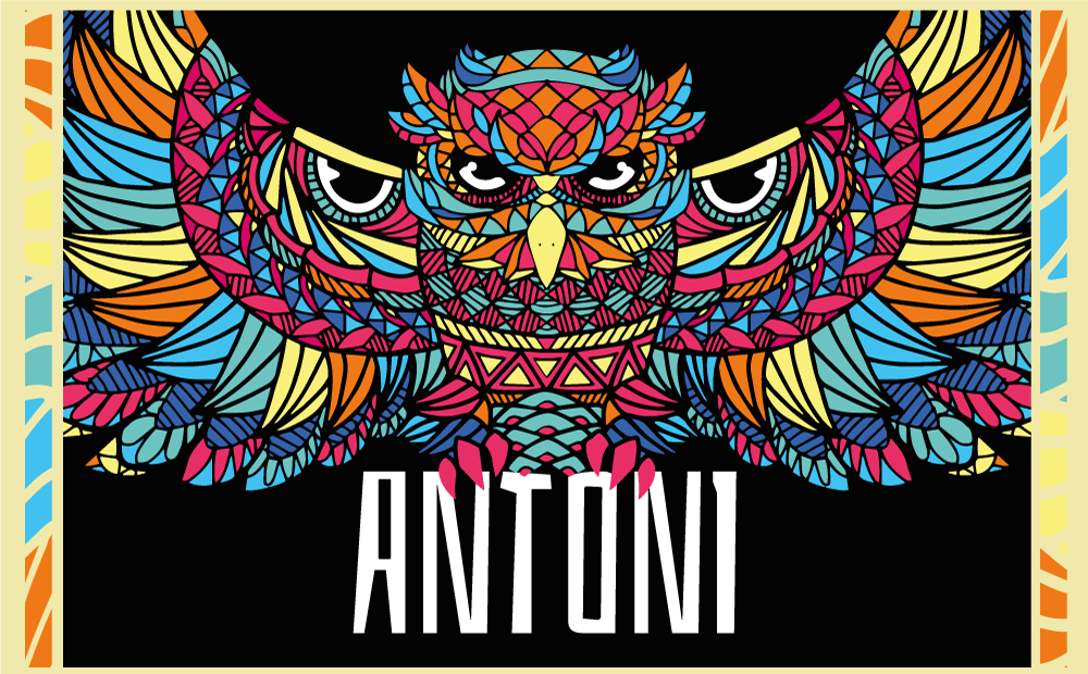 Värikäs pöllö-räätälöinti nimi vinyylimatto - Tenstickers