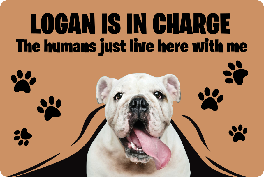 Mukautettu valokuva lemmikki vinyylimatto eteiseen - Tenstickers